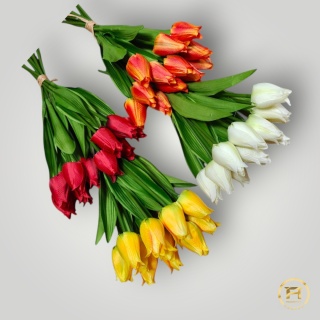 KMS-5268 Tulipan Pojedyćzy Wiązany 24op