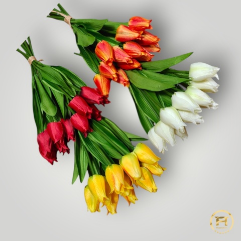 KMS-5268 Tulipan Pojedyćzy Wiązany 24op