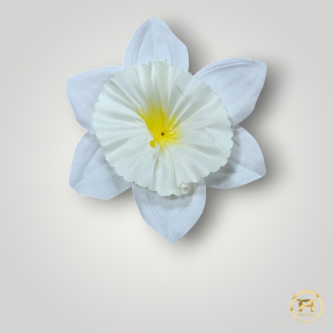 KMS-001/W Żonkil Satynowy 20op