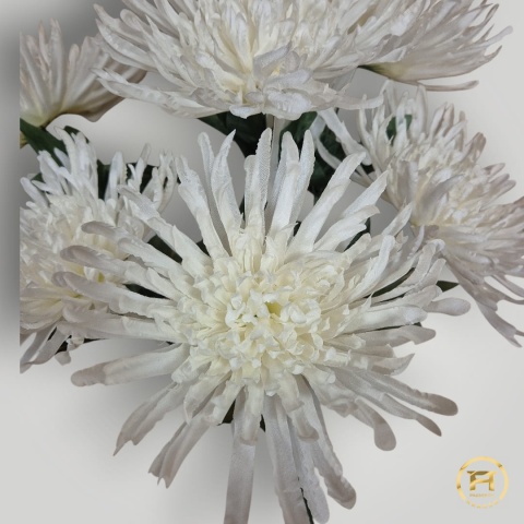 GKR26-0023 Bukiet Chryzantemy 100szt