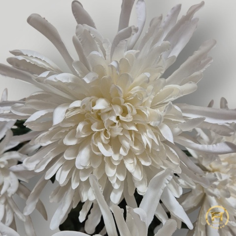 GKR26-0025 Bukiet Chryzantemy 100szt