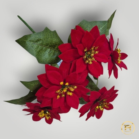 XKM1034 Bukiet Gwiazdy Betlejemskiej Mały 48szt