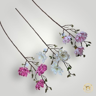 KDD-004 Piankowa Magnolia 144szt