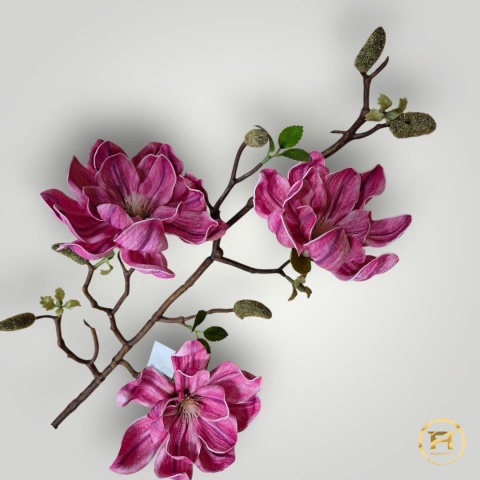 KDD-004 Piankowa Magnolia 144szt