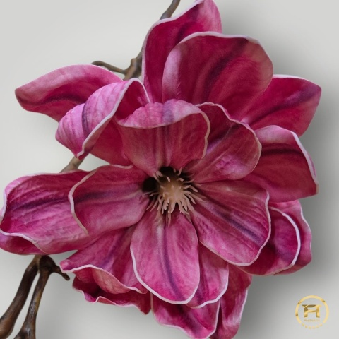 KDD-004 Piankowa Magnolia 144szt
