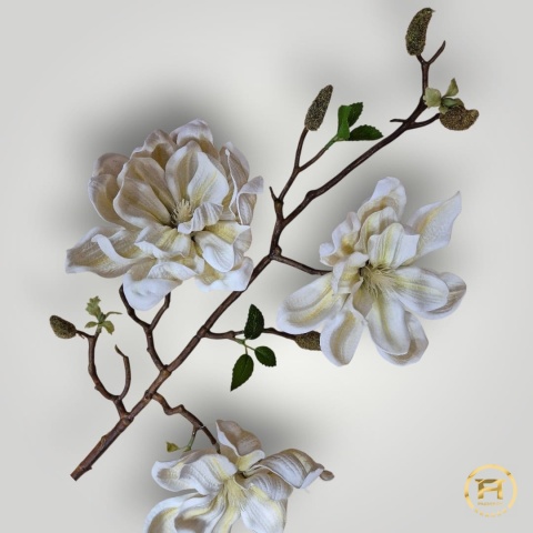 KDD-004 Piankowa Magnolia 144szt