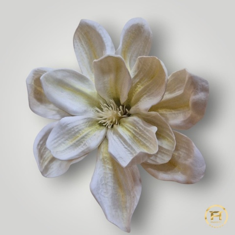 KDD-004 Piankowa Magnolia 144szt