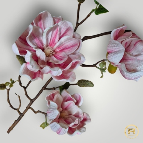 KDD-004 Piankowa Magnolia 144szt