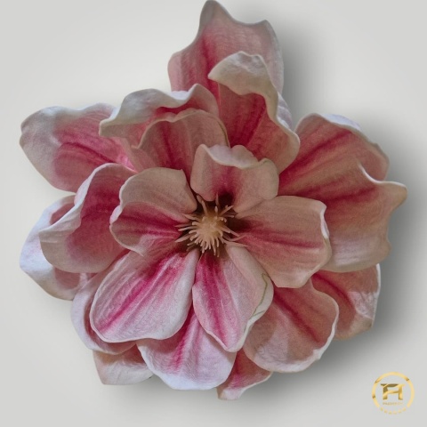 KDD-004 Piankowa Magnolia 144szt