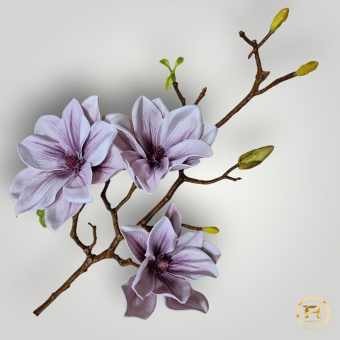 KDSA-009 Piankowa Magnolia 240szt