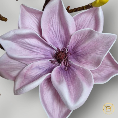KDSA-009 Piankowa Magnolia 240szt