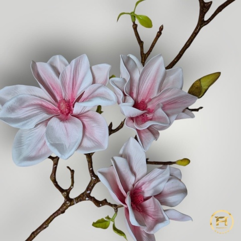 KDSA-009 Piankowa Magnolia 240szt