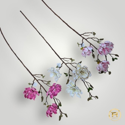 KDD-004 Piankowa Magnolia 24szt