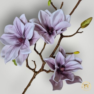 KDSA-009 Piankowa Magnolia 24szt