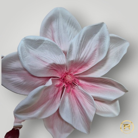 KDSA-009 Piankowa Magnolia 24szt