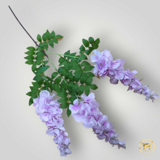 KWO725 Wisteria mix op. 24 szt