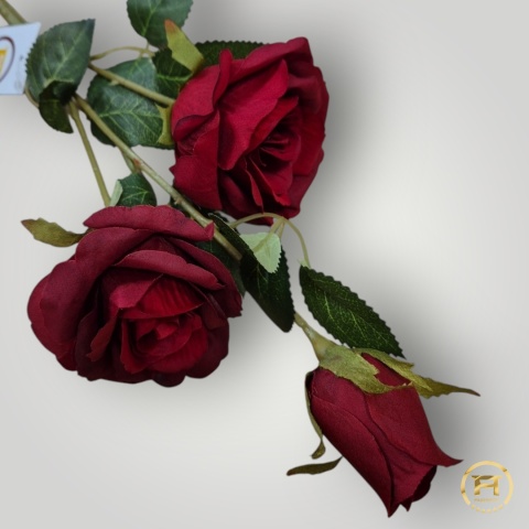 KSA495 Róża mix KSA495 Róża mix