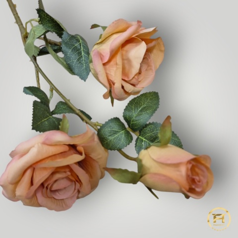 KSA495 Róża mix KSA495 Róża mix
