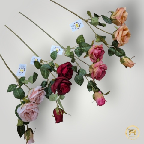 KSA495 Róża mix KSA495 Róża mix