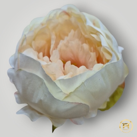 KSA852-27 Peonia KSA852-27 Peonia