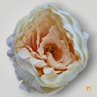 KSA852-27 Peonia