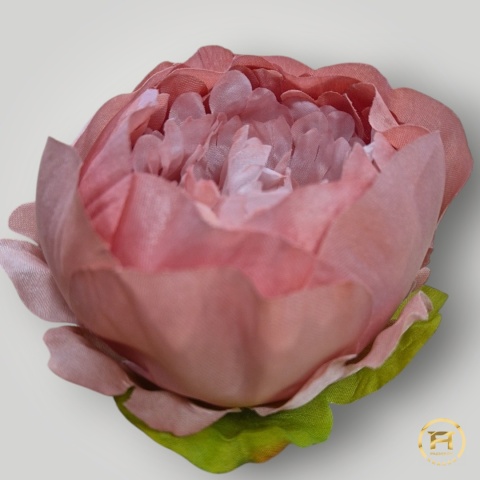 KSA852-13 Peonia KSA852-13 Peonia