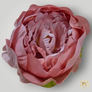 KSA852-13 Peonia