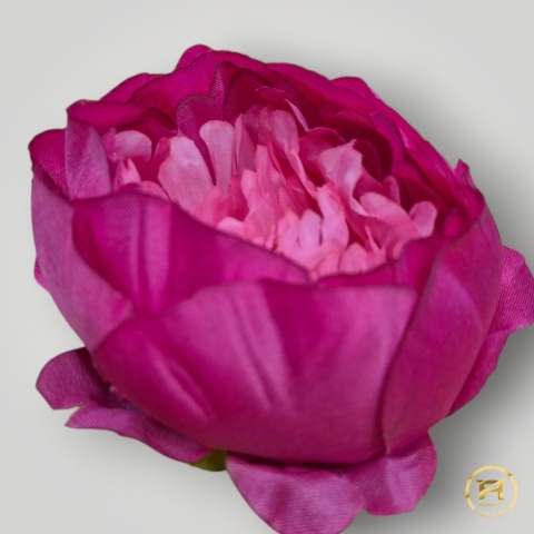 KSA852-9 Peonia KSA852-9 Peonia