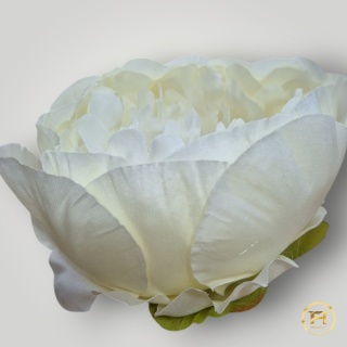 KSA882-2 Peonia